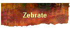 Zebrate